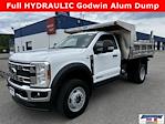 New 2024 Ford F-600 XL Regular Cab 4x4, Cab Chassis for sale #14879 - photo 1