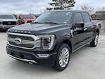 2021 Ford F-150 SuperCrew Cab 4x4, Pickup for sale #PR0243A - photo 13
