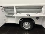 New 2025 Ford E-350 Base RWD, Service Utility Van for sale #SC7613 - photo 10