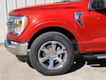 2023 Ford F-150 SuperCrew Cab 4x2, Pickup for sale #PKG12330 - photo 6