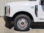 2024 Ford F-350 Crew Cab DRW 4x2, Cab Chassis for sale #REC78067 - photo 6