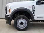 New 2024 Ford F-450 XL Regular Cab 4x2, Cab Chassis for sale #RED13093 - photo 6