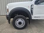 2024 Ford F-450 Regular Cab DRW 4x2, Cab Chassis for sale #RED73787 - photo 7