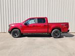 New 2024 Ford F-150 STX SuperCrew Cab 4x4, Pickup for sale #RFB66591 - photo 4