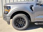 New 2024 Ford F-150 XLT SuperCrew Cab 4x4, Pickup for sale #RFB75411 - photo 6