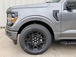 New 2024 Ford F-150 STX SuperCrew Cab 4x2, Pickup for sale #RKE32123 - photo 3