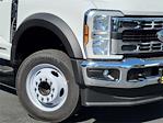 2024 Ford F-450 Regular Cab DRW 4x2, Cab Chassis for sale #F28890 - photo 3