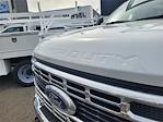 New 2024 Ford F-600 Regular Cab 4x2, 11' Harbor TradeMaster Service Truck for sale #F360258 - photo 19
