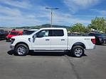 2024 Ford F-150 SuperCrew Cab 4x4, Pickup for sale #F360810 - photo 9