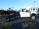 2024 Ford F-550 Regular Cab DRW 4x2, Cab Chassis for sale #11507 - photo 3