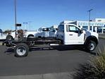 2024 Ford F-450 Regular Cab DRW 4x2, Cab Chassis for sale #11693 - photo 14