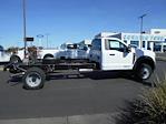2024 Ford F-450 Regular Cab DRW 4x2, Cab Chassis for sale #11693 - photo 4