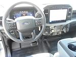 2024 Ford F-150 SuperCrew Cab 4x2, Pickup for sale #11780 - photo 25