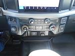2024 Ford F-150 SuperCrew Cab 4x2, Pickup for sale #11780 - photo 33