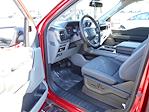 2024 Ford F-150 SuperCrew Cab 4x2, Pickup for sale #11796 - photo 24