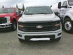2024 Ford F-150 SuperCrew Cab 4x4, Pickup for sale #12088 - photo 2