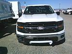 2024 Ford F-150 SuperCrew Cab 4x2, Pickup for sale #12155 - photo 2