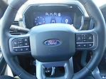 2024 Ford F-150 SuperCrew Cab 4x4, Pickup for sale #12478 - photo 14