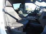 2024 Ford F-150 SuperCrew Cab 4x2, Pickup for sale #12567 - photo 33