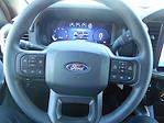 2024 Ford F-150 SuperCrew Cab 4x2, Pickup for sale #12848 - photo 11