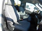 2024 Ford F-150 Regular Cab 4x2, Pickup for sale #12906 - photo 5