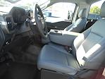 2024 Ford F-150 Regular Cab 4x2, Pickup for sale #12906 - photo 7