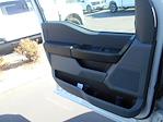 2024 Ford F-150 Regular Cab 4x2, Pickup for sale #12906 - photo 8