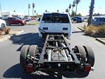 New 2024 Ford F-550 XL Crew Cab 4x4, Cab Chassis for sale #12914 - photo 19