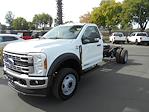 New 2024 Ford F-450 XL Regular Cab 4x2, Cab Chassis for sale #12987 - photo 1