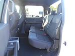 2024 Ford F-150 SuperCrew Cab 4x2, Pickup for sale #13045 - photo 28