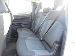 New 2024 Ford Ranger STX SuperCrew Cab 4x2, Pickup for sale #13105 - photo 28