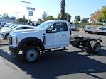 2024 Ford F-450 Regular Cab DRW 4x2, Cab Chassis for sale #13139 - photo 1