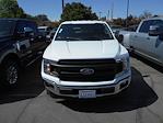 2019 Ford F-150 Regular Cab 4x2, Pickup for sale #83557 - photo 3