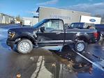 2024 Ford F-150 Regular Cab RWD, Pickup for sale #45555 - photo 6