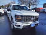 2024 Ford F-150 SuperCrew Cab 4WD, Pickup for sale #45689 - photo 4