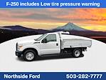 Used 2016 Ford F-250 XLT Regular Cab 4x2, Dump Truck for sale #C3929 - photo 8