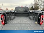 2024 Ford F-250 Crew Cab 4x4, Pickup for sale #C40165 - photo 10