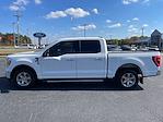 Used 2021 Ford F-150 XLT SuperCrew Cab 4x2, Pickup for sale #MFC26720 - photo 8