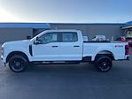 2023 Ford F-250 Crew Cab 4x4, Pickup for sale #PED14185 - photo 8