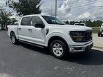 New 2024 Ford F-150 XL SuperCrew Cab 4x2, Pickup for sale #RKE55314 - photo 8