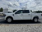 New 2024 Ford F-150 XL SuperCrew Cab 4x2, Pickup for sale #RKE55326 - photo 3