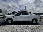 New 2024 Ford F-150 XL SuperCrew Cab 4x2, Pickup for sale #RKE76058 - photo 3