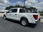 New 2024 Ford F-150 XL SuperCrew Cab 4x2, Pickup for sale #RKF25077 - photo 2