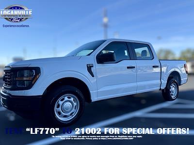 New 2024 Ford F-150 XL SuperCrew Cab 4x2, Pickup for sale #RKF53830 - photo 1