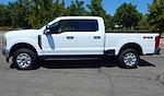 New 2024 Ford F-250 XLT Crew Cab 4x4, Pickup for sale #24F302 - photo 4