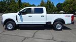 New 2024 Ford F-250 XL Crew Cab 4x4, Pickup for sale #24F326 - photo 4