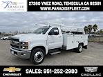 2023 Chevrolet Silverado 5500 Regular Cab DRW 4x2, Scelzi Signature Utility for sale #M23536 - photo 18