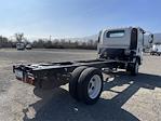 2024 Chevrolet LCF 5500XG Regular Cab 4x2, Cab Chassis for sale #M24155 - photo 4