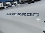 2024 Chevrolet Silverado 1500 Double Cab 4x2, Pickup for sale #M24168 - photo 10