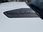 2024 Chevrolet Silverado 3500 Double Cab 4x4, Reading SL Service Body Utility for sale #M24218 - photo 10